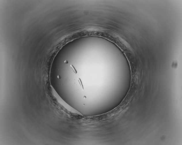 X0000096160821200802011253