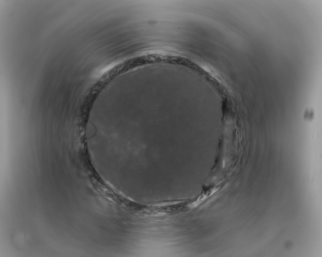 X0000096160822200802011253