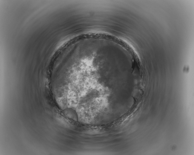 X0000096160823200802011253