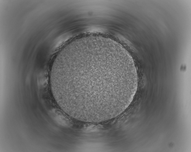 X0000096160824200802011253