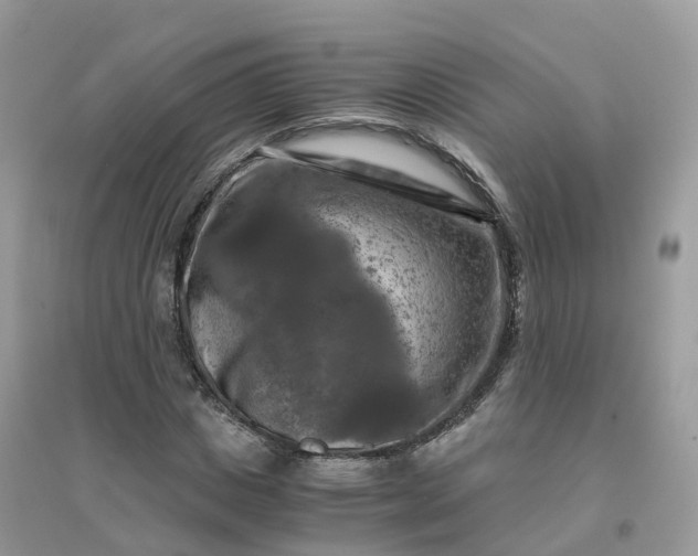 X0000096160825200802011254