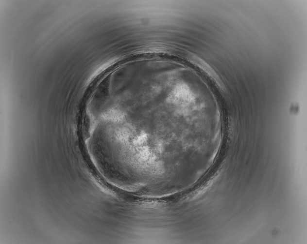 X0000096160826200802011254