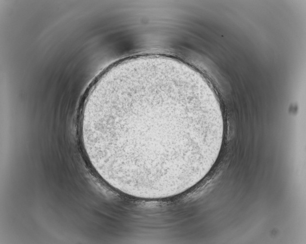 X0000096160828200802011254