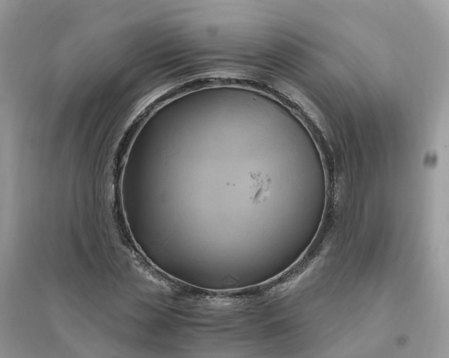 X0000096160829200802011254