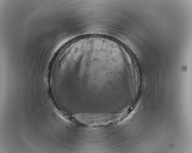 X0000096160830200802011254