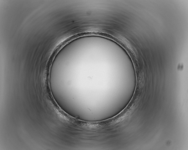 X0000096160831200802011254