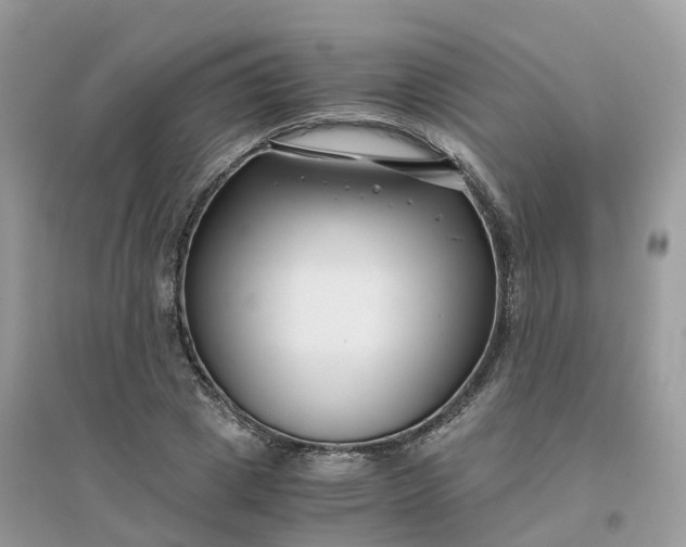 X0000096160833200802011254