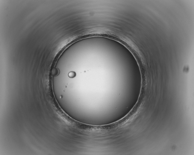 X0000096160834200802011254