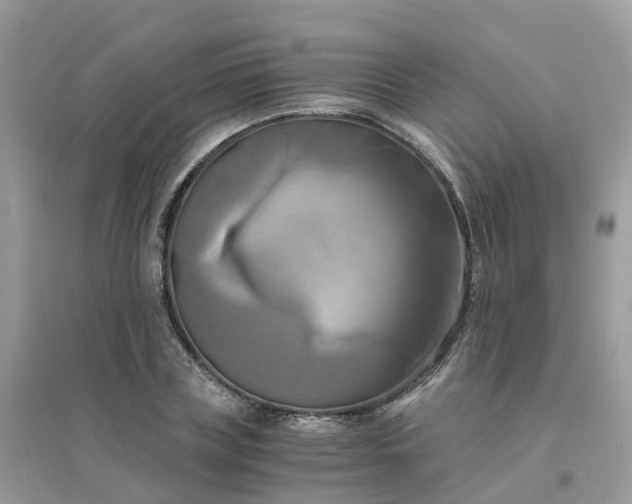 X0000096160835200802011254