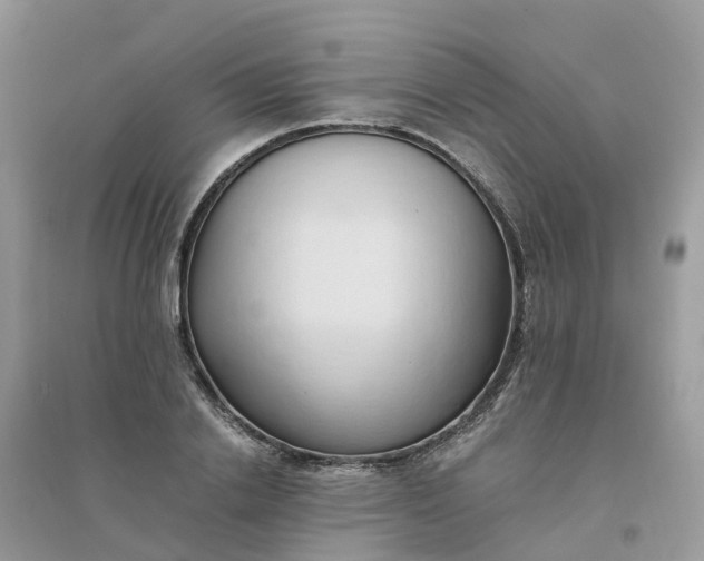 X0000096160838200802011254