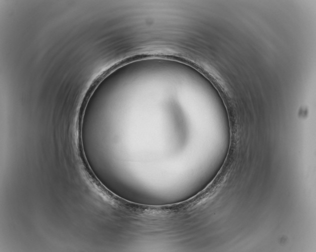 X0000096160840200802011254