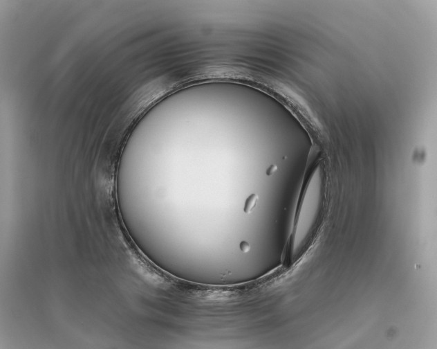 X0000096160841200802011254