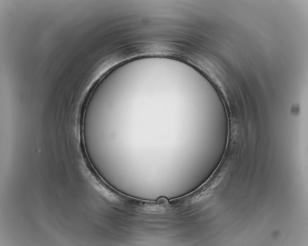 X0000096160843200802011254