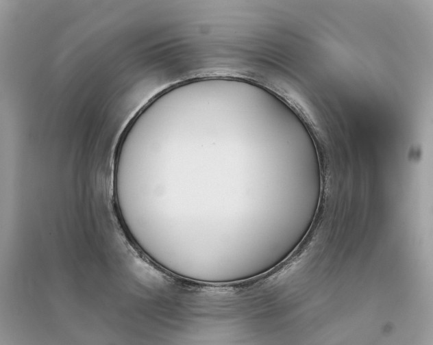 X0000096160844200802011254