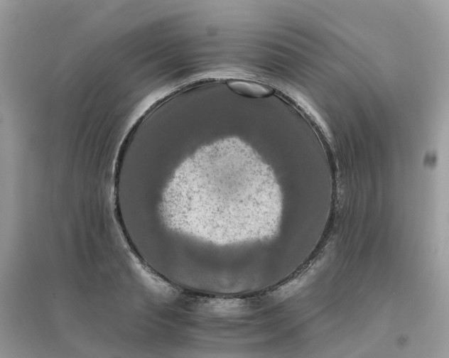 X0000096160845200802011254