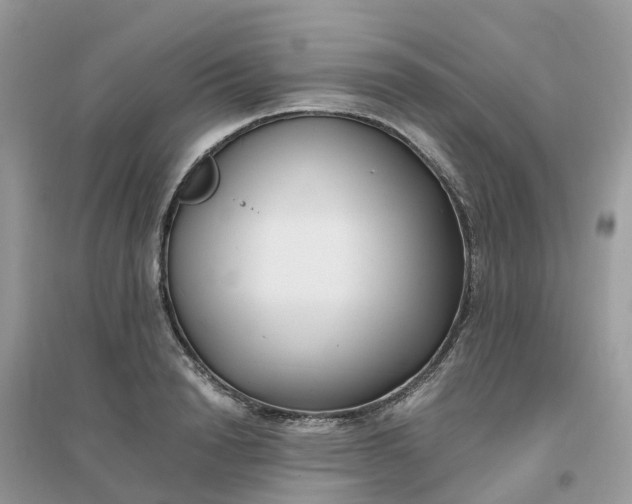 X0000096160846200802011254