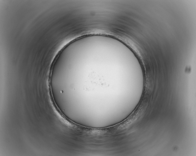 X0000096160847200802011254