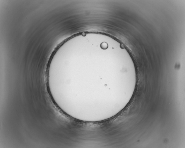 X0000096160848200802011254