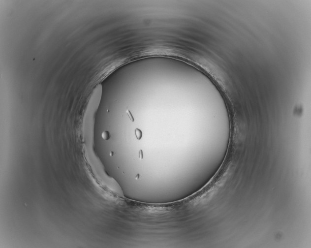 X0000096160849200802011254