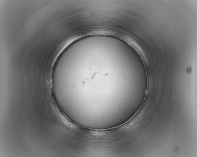 X0000096160852200802011254