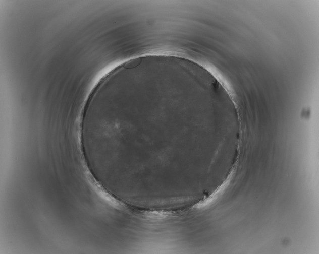 X0000096160854200802011254