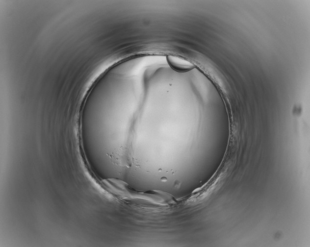 X0000096160855200802011254