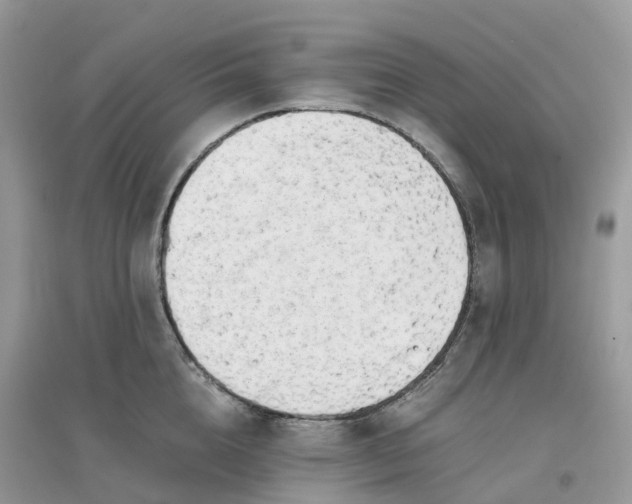 X0000096160856200802011254