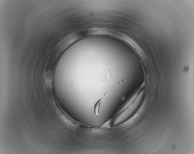 X0000096160857200802011254