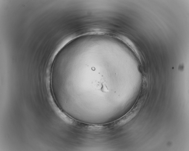 X0000096160859200802011254