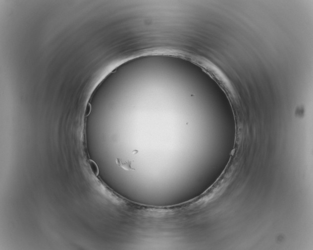 X0000096160860200802011254