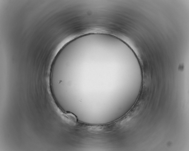 X0000096160861200802011254