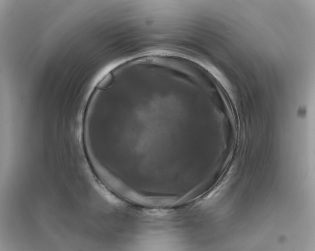 X0000096160862200802011254