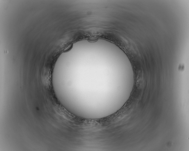 X0000096160866200802011253