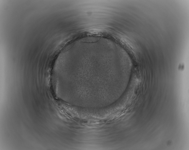 X0000096160868200802011253