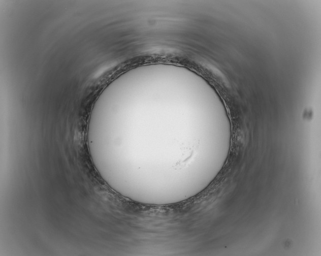 X0000096160869200802011253