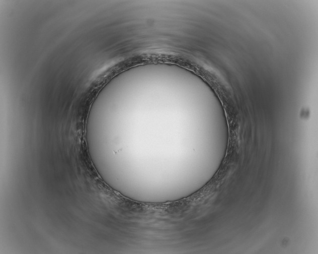 X0000096160870200802011253