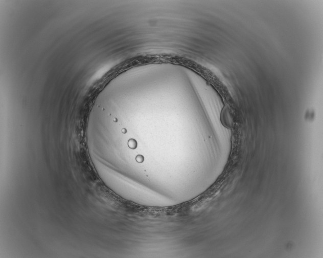 X0000096160871200802011253