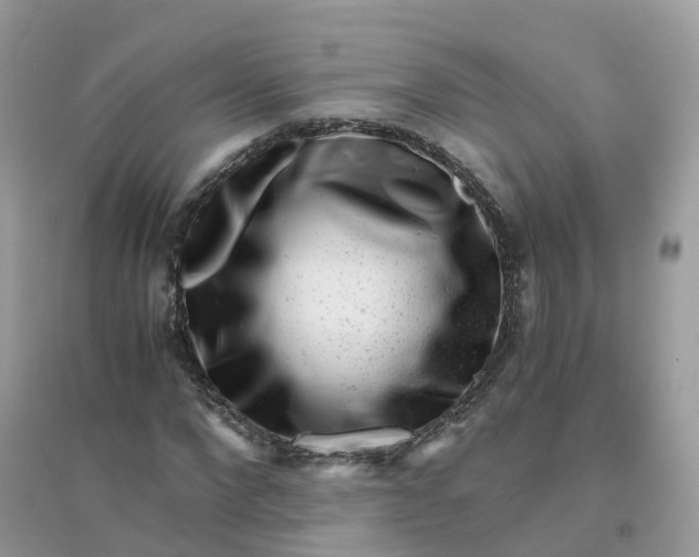 X0000096160872200802011253