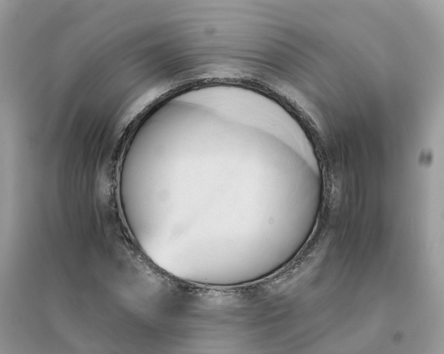 X0000096160874200802011253