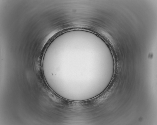 X0000096160875200802011253