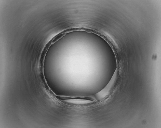 X0000096160876200802011253