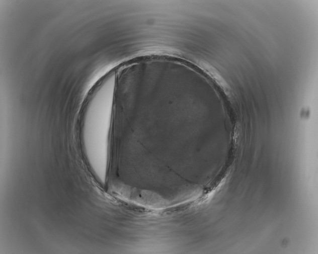 X0000096160877200802011253