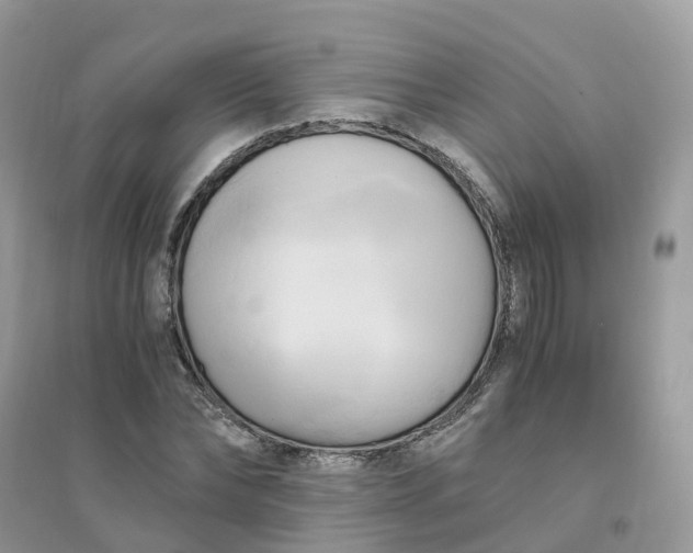 X0000096160878200802011253