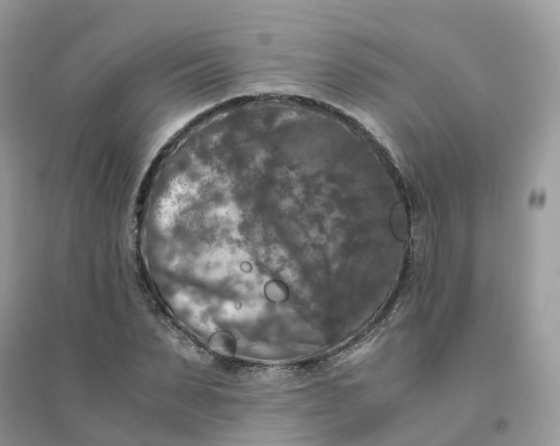 X0000096160879200802011253