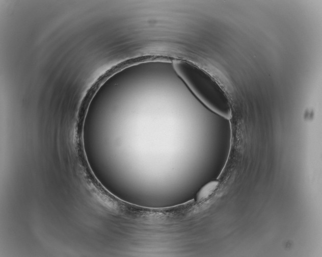 X0000096160880200802011253