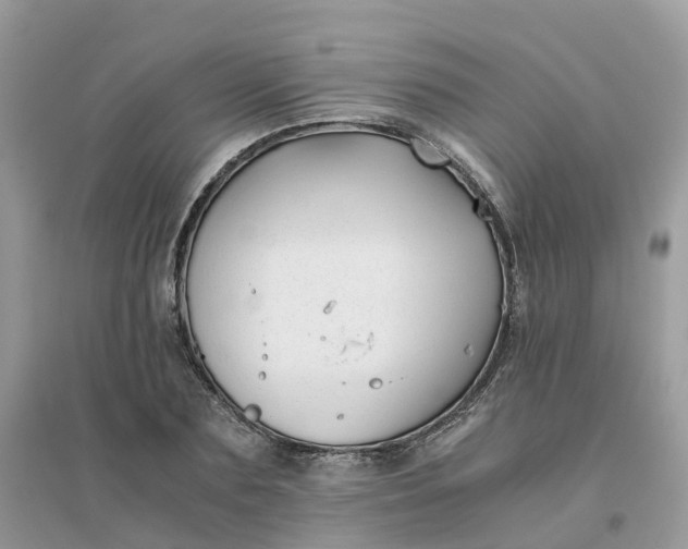 X0000096160883200802011253