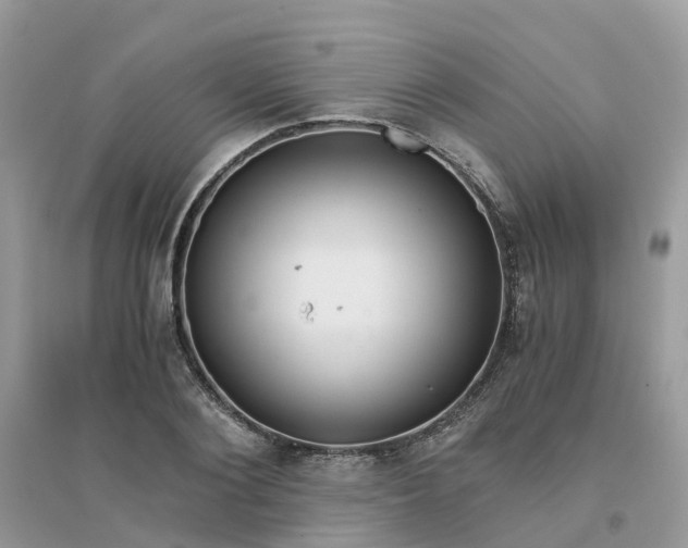 X0000096160884200802011253