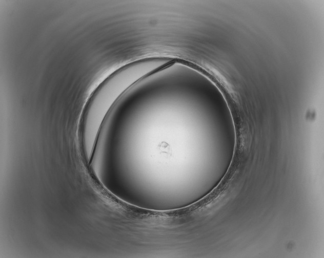 X0000096160885200802011253