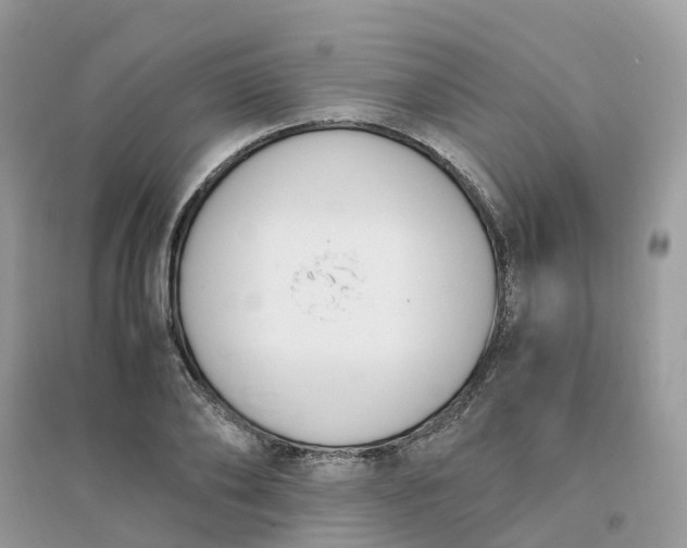 X0000096160886200802011253