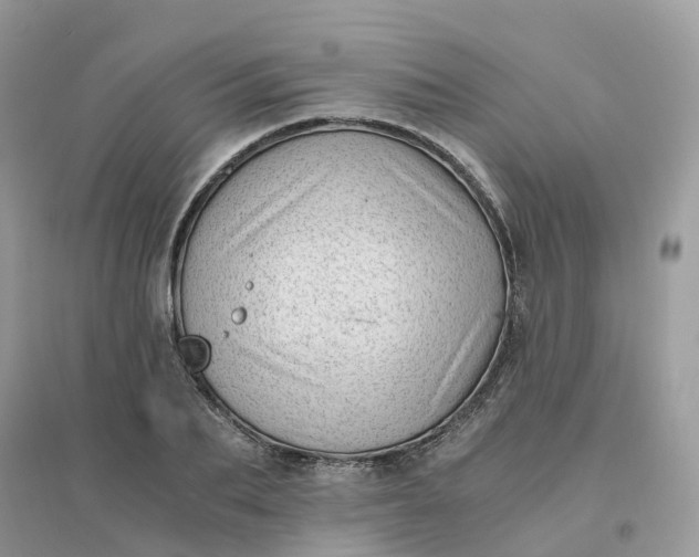 X0000096160887200802011253